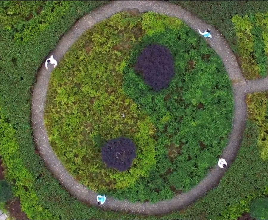 简介轮播