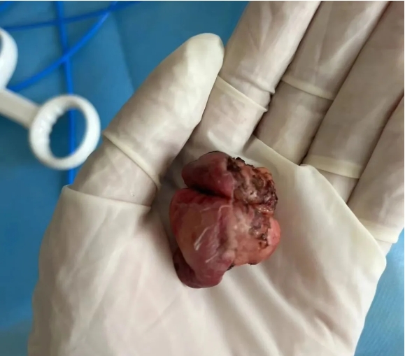 670e17ce44f1e.png 2.png