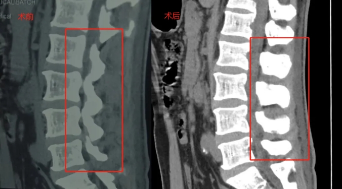 675a80ea993ac.png 1.png