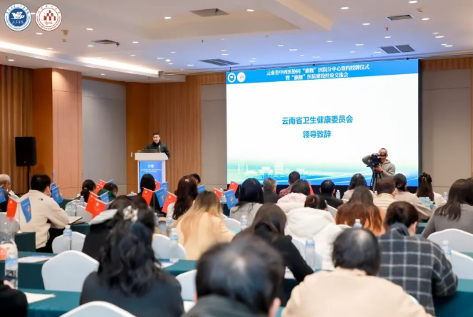 692cfdf1bcd7c.png image.png