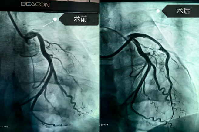 6937d6501fcbd.png image.png