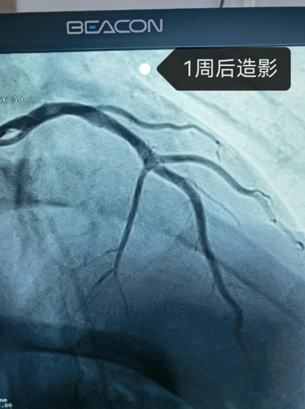 6937d66a86d68.png image.png