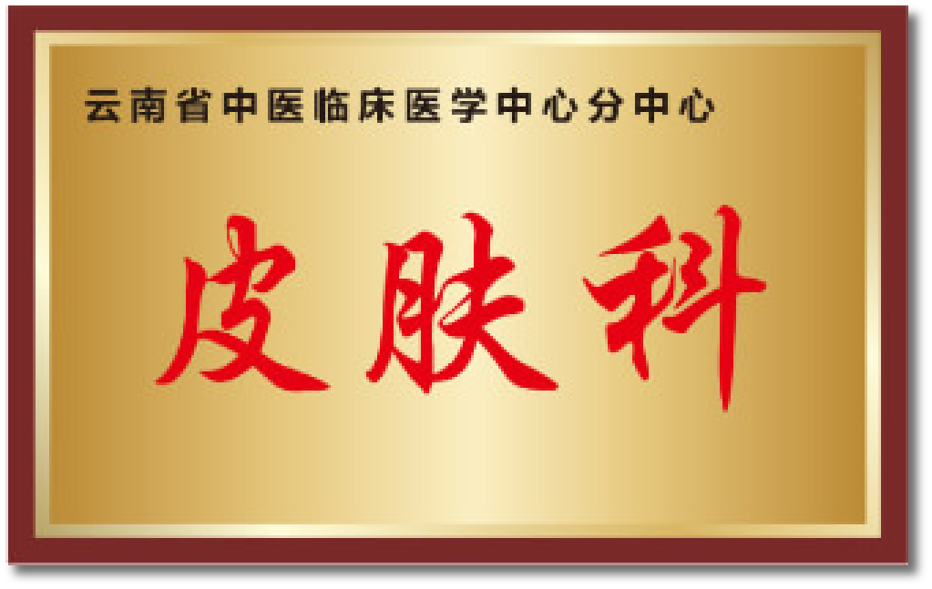 云南省中医临床医学中心分中心 皮肤科